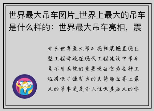 世界最大吊车图片_世界上最大的吊车是什么样的：世界最大吊车亮相，震撼呈现巨型工程奇迹