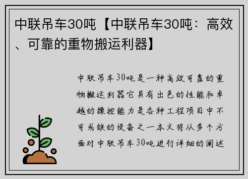 中联吊车30吨【中联吊车30吨：高效、可靠的重物搬运利器】