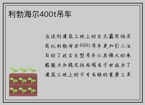 利勃海尔400t吊车