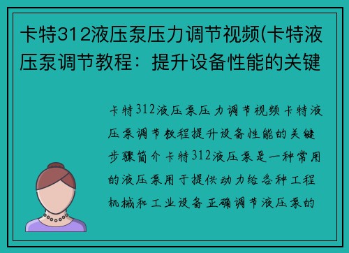 卡特312液压泵压力调节视频(卡特液压泵调节教程：提升设备性能的关键步骤)