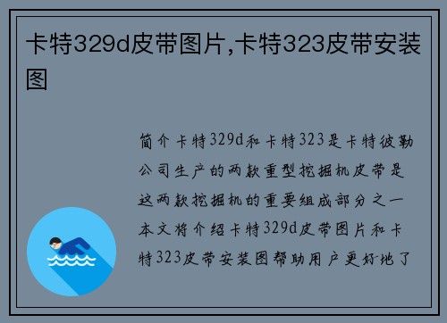 卡特329d皮带图片,卡特323皮带安装图