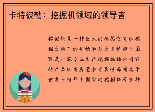 卡特彼勒：挖掘机领域的领导者