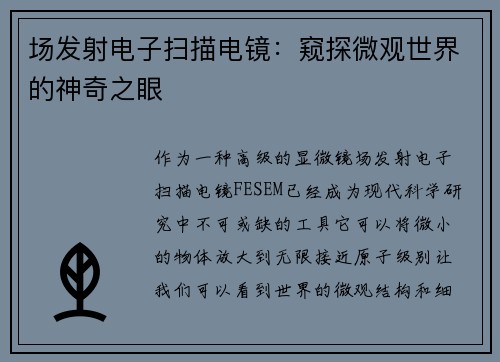 场发射电子扫描电镜：窥探微观世界的神奇之眼